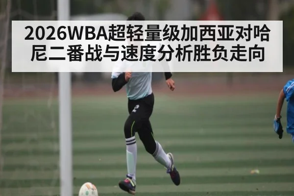 2026WBA超轻量级加西亚对哈尼二番战与速度分析胜负走向（kaiyun）